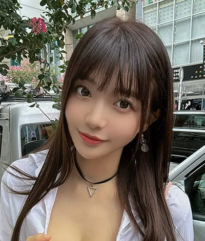 雾港 热播电视剧全集在线观看